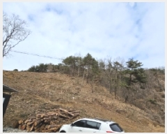  2025Ÿ��10174  �Ӿ߰��