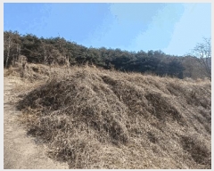  2025Ÿ��10204  �����