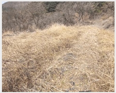  2025Ÿ��10204  �����