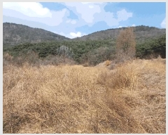  2025Ÿ��10204  �����