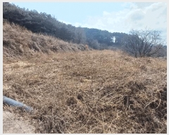  2025Ÿ��10204  �����