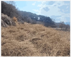  2025Ÿ��10204  �����