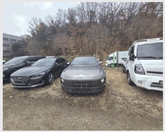  2025Ÿ��11245 �ȵ��� ����14�� 65 �븲������       �������