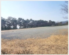  2025Ÿ��100114  ��Ÿ�������