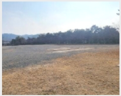  2025Ÿ��100114  ��Ÿ�������