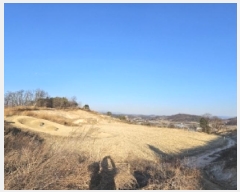  2025Ÿ��100176  �����