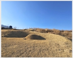  2025Ÿ��100176  �����