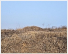  2025Ÿ��100176  �����