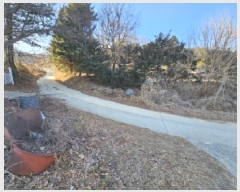  2025Ÿ��100176  �����