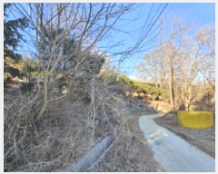  2025Ÿ��100176  �����