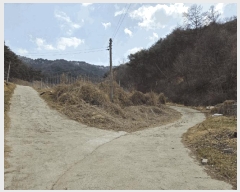  2025Ÿ��100206  �����