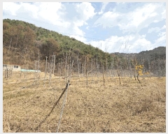  2025Ÿ��100206  �����