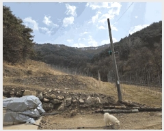  2025Ÿ��100206  �����