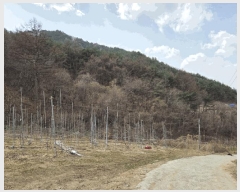  2025Ÿ��100206  �����