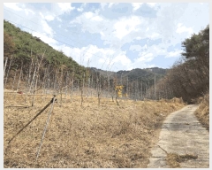  2025Ÿ��100206  �����