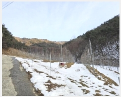  2025Ÿ��100206  �����