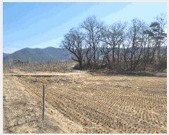  2025Ÿ��100215 ��� �ȵ��� ���� ��43       ����(�Ӿ�)���