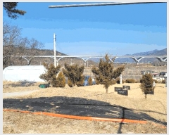  2025Ÿ��100215 ��� �ȵ��� ���� ��43       ����(�Ӿ�)���