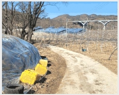  2025Ÿ��100215 ��� �ȵ��� ���� ��43       ����(�Ӿ�)���