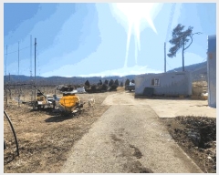  2025Ÿ��100215 ��� �ȵ��� ���� ��43       ����(�Ӿ�)���