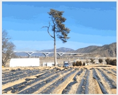  2025Ÿ��100215 ��� �ȵ��� ���� ��43       ����(�Ӿ�)���