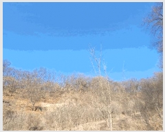  2025Ÿ��100215 ��� �ȵ��� ���� ��43       ����(�Ӿ�)���