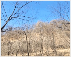  2025Ÿ��100215 ��� �ȵ��� ���� ��43       ����(�Ӿ�)���