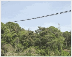  2025Ÿ��100218  �����