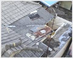  2025Ÿ��100235  ���ð��