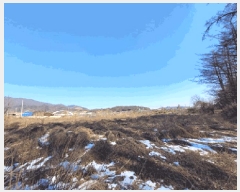  2025Ÿ��100238 ��� ���ֽ� ������ �λ긮 34-2      ����(��)���