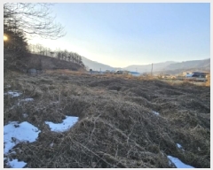  2025Ÿ��100238 ��� ���ֽ� ������ �λ긮 34-2      ����(��)���