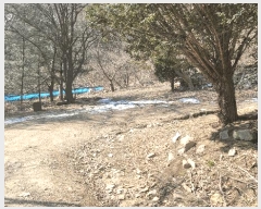  2025Ÿ��100241 ��� ��ȭ�� ��õ�� ��õ�� 696      ����(��)���