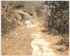  2025Ÿ��100241 ��� ��ȭ�� ��õ�� ��õ�� 696      ����(��)���