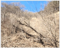  2025Ÿ��100241 ��� ��ȭ�� ��õ�� ��õ�� 696      ����(��)���