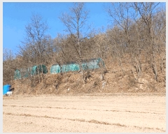  2025Ÿ��100260 ��� �ȵ��� �ͷ�� �̻� ��99-2      ����(�Ӿ�)���