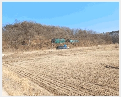  2025Ÿ��100260 ��� �ȵ��� �ͷ�� �̻� ��99-2      ����(�Ӿ�)���