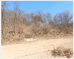  2025Ÿ��100260 ��� �ȵ��� �ͷ�� �̻� ��99-2      ����(�Ӿ�)���