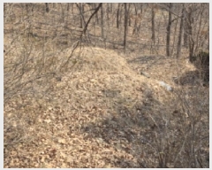  2025Ÿ��100260 ��� �ȵ��� �ͷ�� �̻� ��99-2      ����(�Ӿ�)���