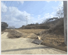  2025Ÿ��100266  �Ӿ߰��