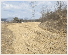  2025Ÿ��100266  �Ӿ߰��