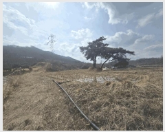  2025Ÿ��100266  �Ӿ߰��