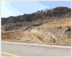  2025Ÿ��100269 ��� �ȵ��� ����� ���縮 ��116      ����(�Ӿ�)���