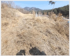  2025Ÿ��100269 ��� �ȵ��� ����� ���縮 ��116      ����(�Ӿ�)���