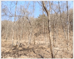  2025Ÿ��100269 ��� �ȵ��� ����� ���縮 ��116      ����(�Ӿ�)���