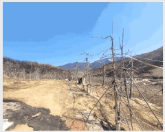  2025Ÿ��100272 ��� �ȵ��� ��ȸ� ��渮 352      ����(��1)���