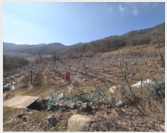  2025Ÿ��100272 ��� �ȵ��� ��ȸ� ��渮 352      ����(��1)���