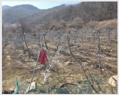  2025Ÿ��100272 ��� �ȵ��� ��ȸ� ��渮 352      ����(��1)���