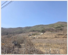  2025Ÿ��100272 ��� �ȵ��� ��ȸ� ��渮 352      ����(��1)���