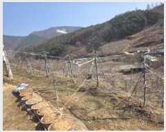  2025Ÿ��100272 ��� �ȵ��� ��ȸ� ��渮 352      ����(��1)���