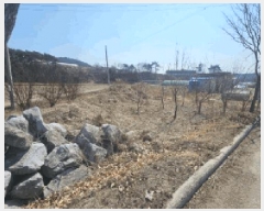  2025Ÿ��100278  ����